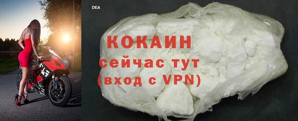 первитин Богданович