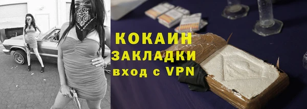 твердый Богородицк