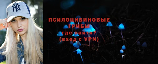 твердый Богородицк