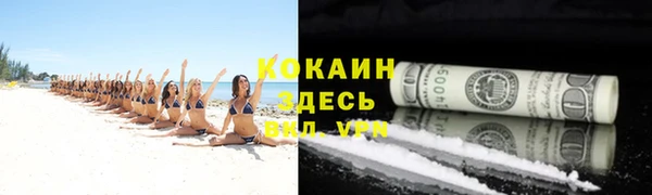 твердый Богородицк