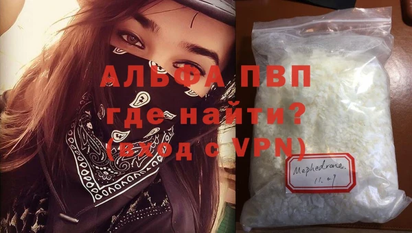 ECSTASY Богородск