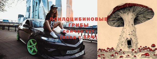 твердый Богородицк