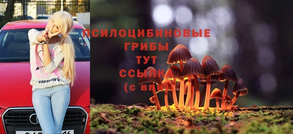 ECSTASY Богородск