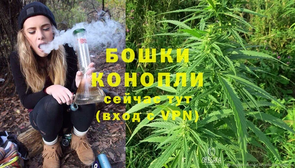 первитин Богданович